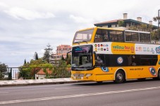 Madeira, Baleias e Golfinhos - Bilhete Criança