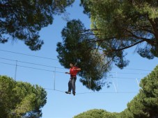 Aventura en los árboles en Sevilla