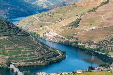 Croisière sur le fleuve Douro : Porto – Régua – Porto | Enfant