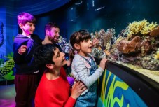 SEA LIFE London Tickets for Two