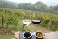Esperienza tra Natura, Caccia al Tartufo e Degustazione di Vini: Tour Guidato di 3 Ore e Mezza