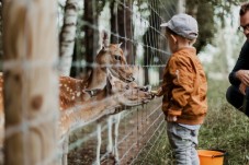 Whipsnade Zoo Tickets for One Adult and One Child
