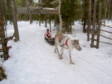 Pororetki - Näe revontulet Lapissa