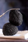 Truffle hunting experience in La Morra, Piedmont
