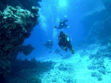 Curso de Mergulho - Open Water Dive - em Lisboa