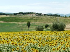 Week end in bilocale - Umbria