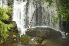 3 Day Ecomagic Jungle Tour in Peru