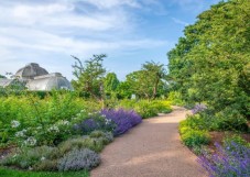 Kew Gardens Admission Ticket
