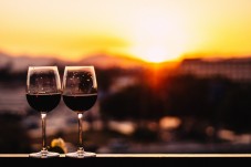 Barolo tasting at Josetta Saffirio