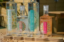Afternoon Tea & Gin Masterclass for Two in Dublin