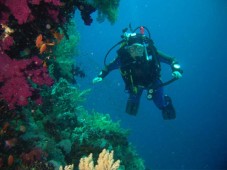 Scuba Diving PADI Course in Dublin