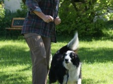 Education et consultation des comportements de votre chien - 4h00 - Eure (27)