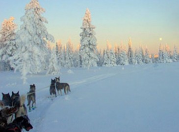 Elämyksiä talvella