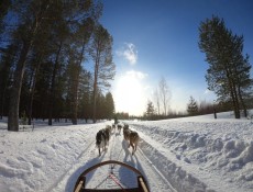 Ylioppilaslahja tytölle